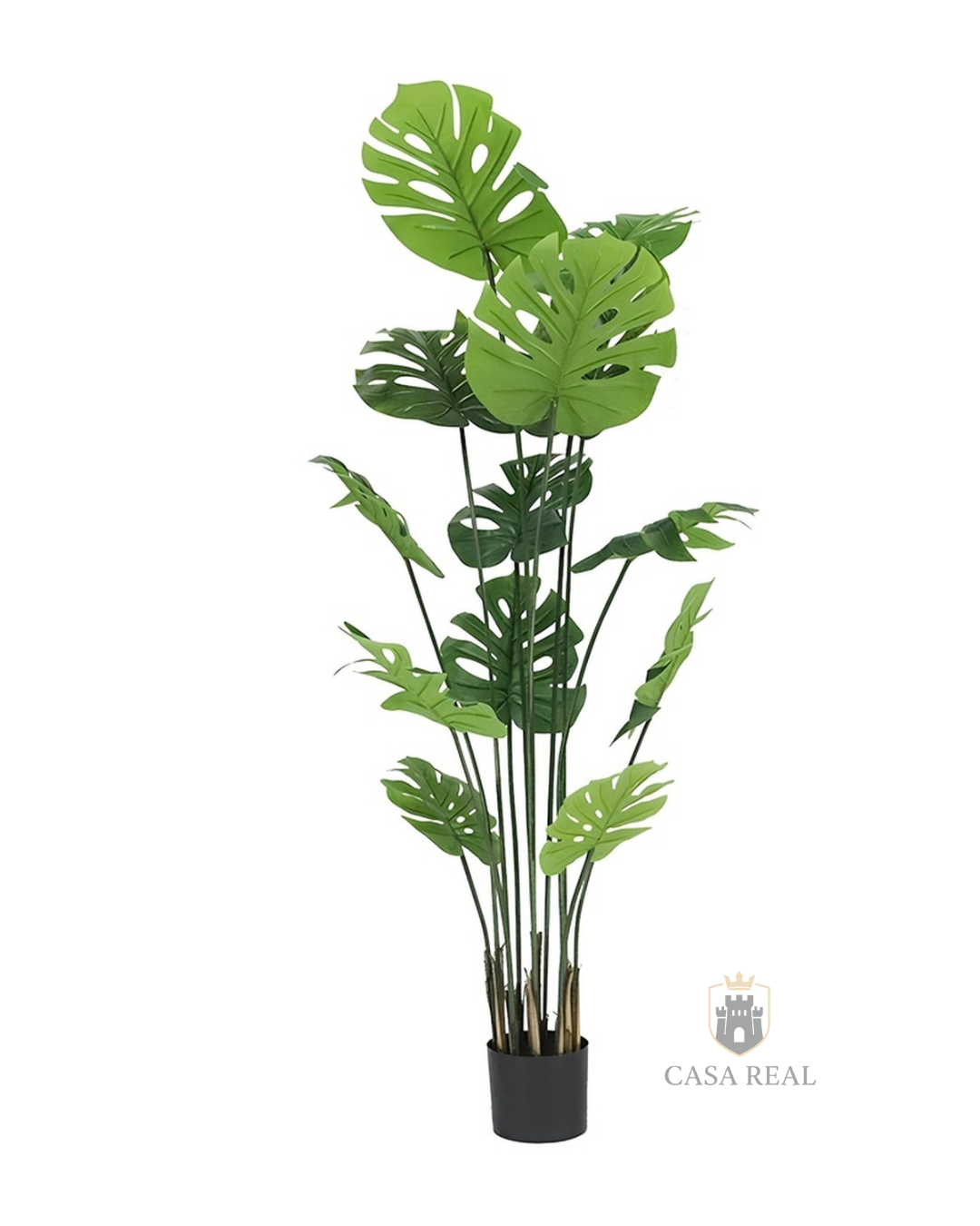 Planta Artificial Mata Costilla De Adán X12 180cm