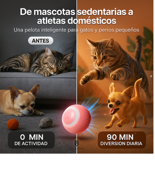 Caza pelota Inteligente Para Mascotas