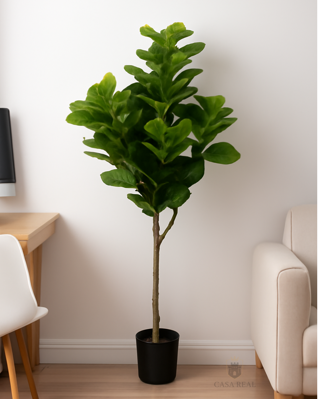 Planta Ficus Pandurata (artificial)  Tamaño Real