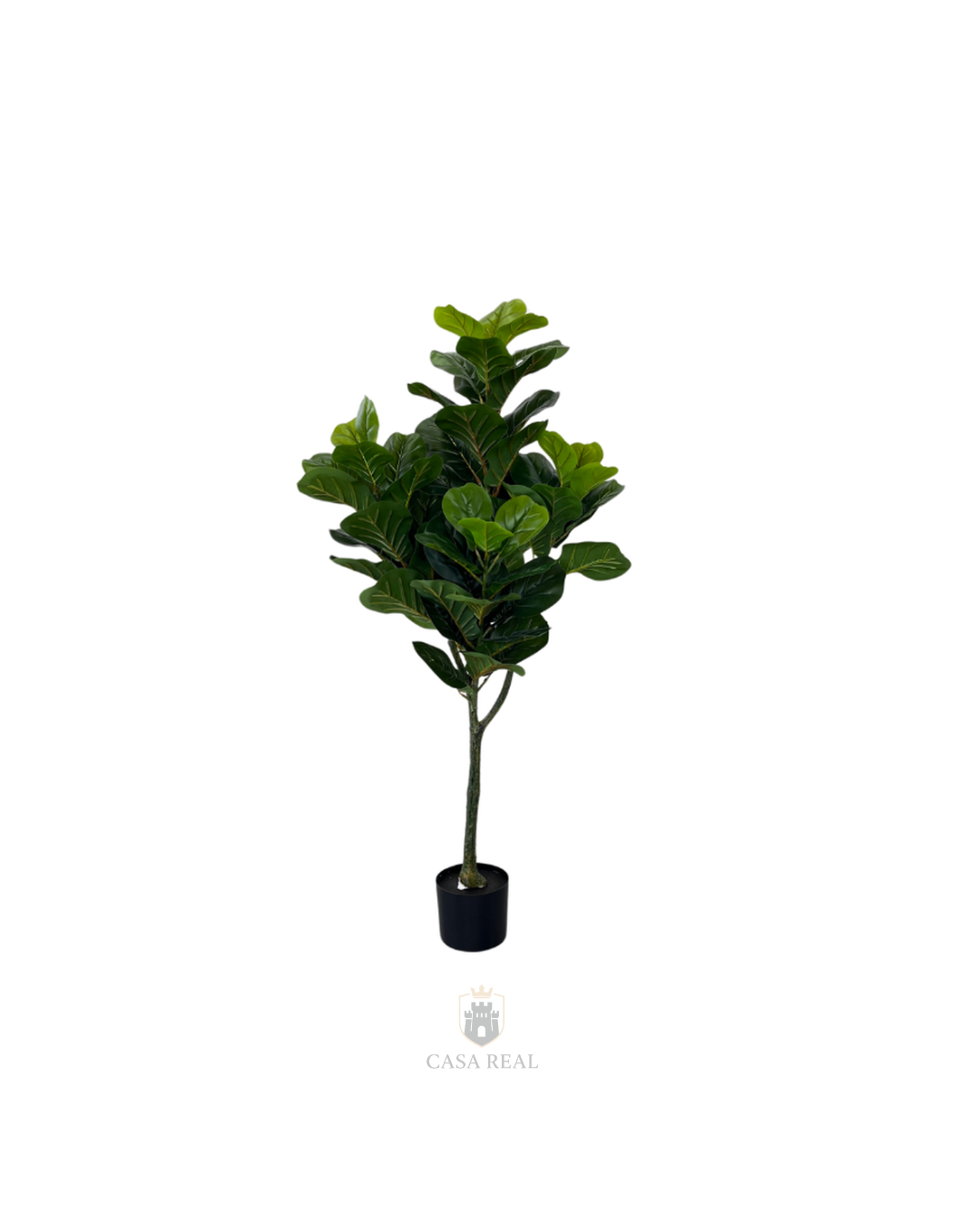 Planta Ficus Pandurata (artificial)  Tamaño Real