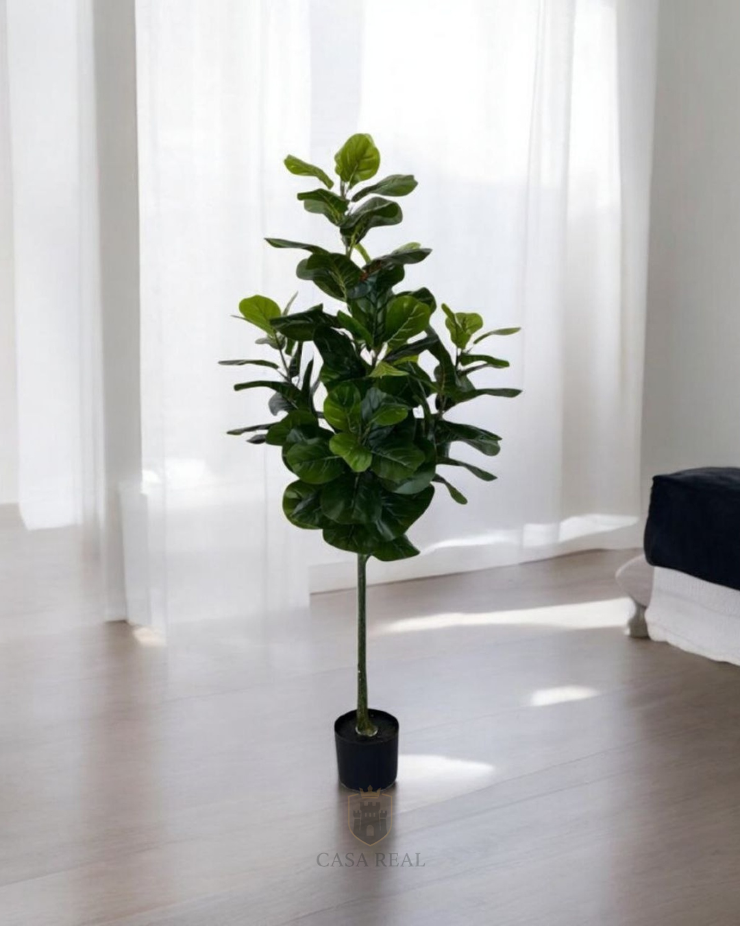 Planta Ficus Pandurata (artificial)  Tamaño Real