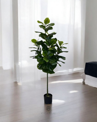 Planta Ficus Pandurata (artificial)  Tamaño Real