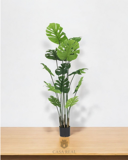 Planta Artificial Mata Costilla De Adán X12 180cm