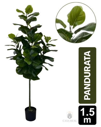 Planta Ficus Pandurata (artificial)  Tamaño Real