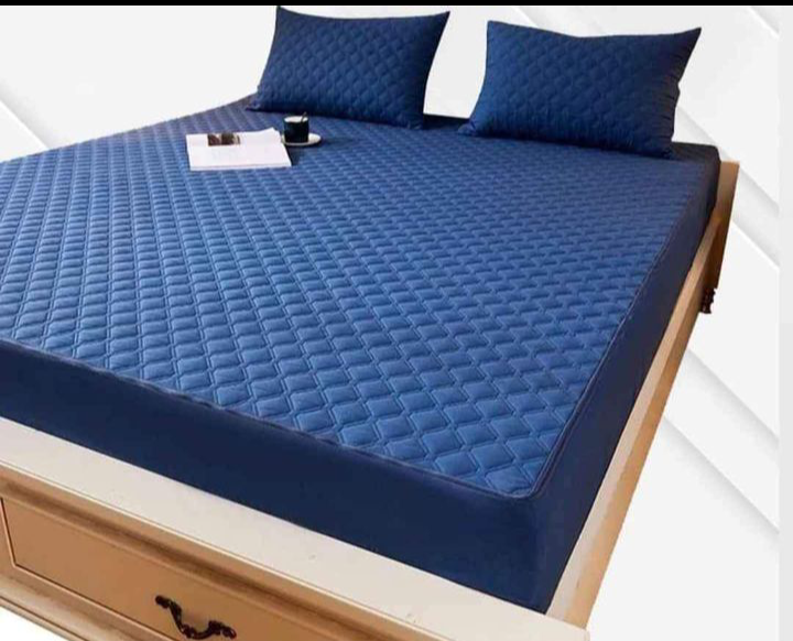 Protector Colchón (Obsequio 2 Fundas Para Almohada)