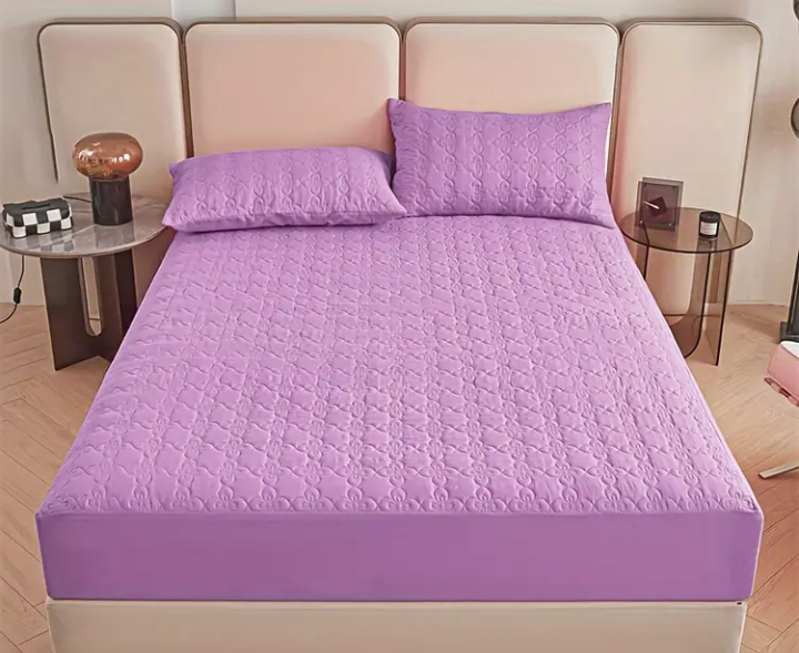 Protector Colchón (Obsequio 2 Fundas Para Almohada)