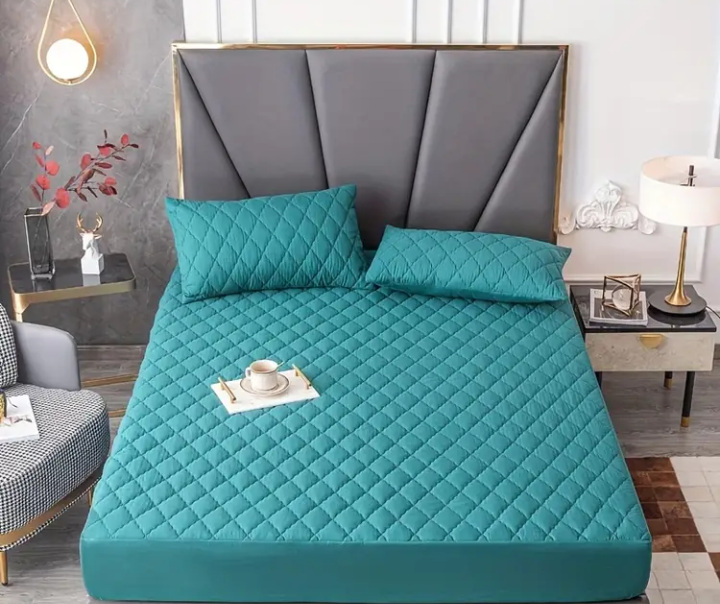 Protector Colchón (Obsequio 2 Fundas Para Almohada)