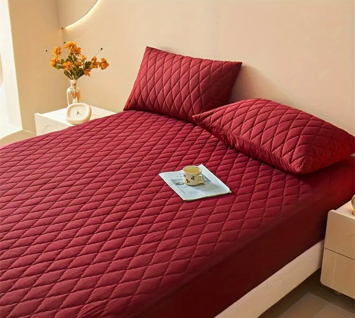 Protector Colchón (Obsequio 2 Fundas Para Almohada)