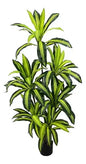 Mata De La Felicidad X6 (Planta artificial) 160cm