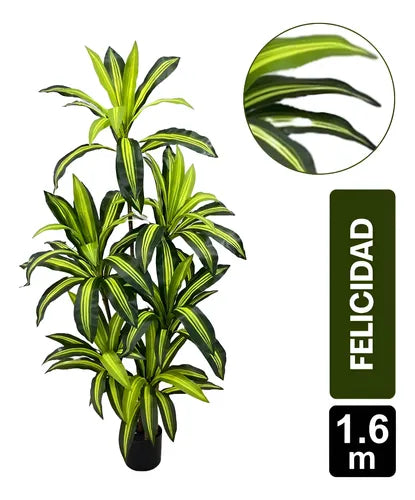 Mata De La Felicidad X6 (Planta artificial) 160cm